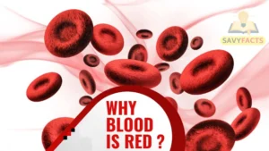 Rakt ka rang laal kyun hota hai